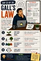 Day 22: Gall’s Law. Workplace Wisdom illustration.